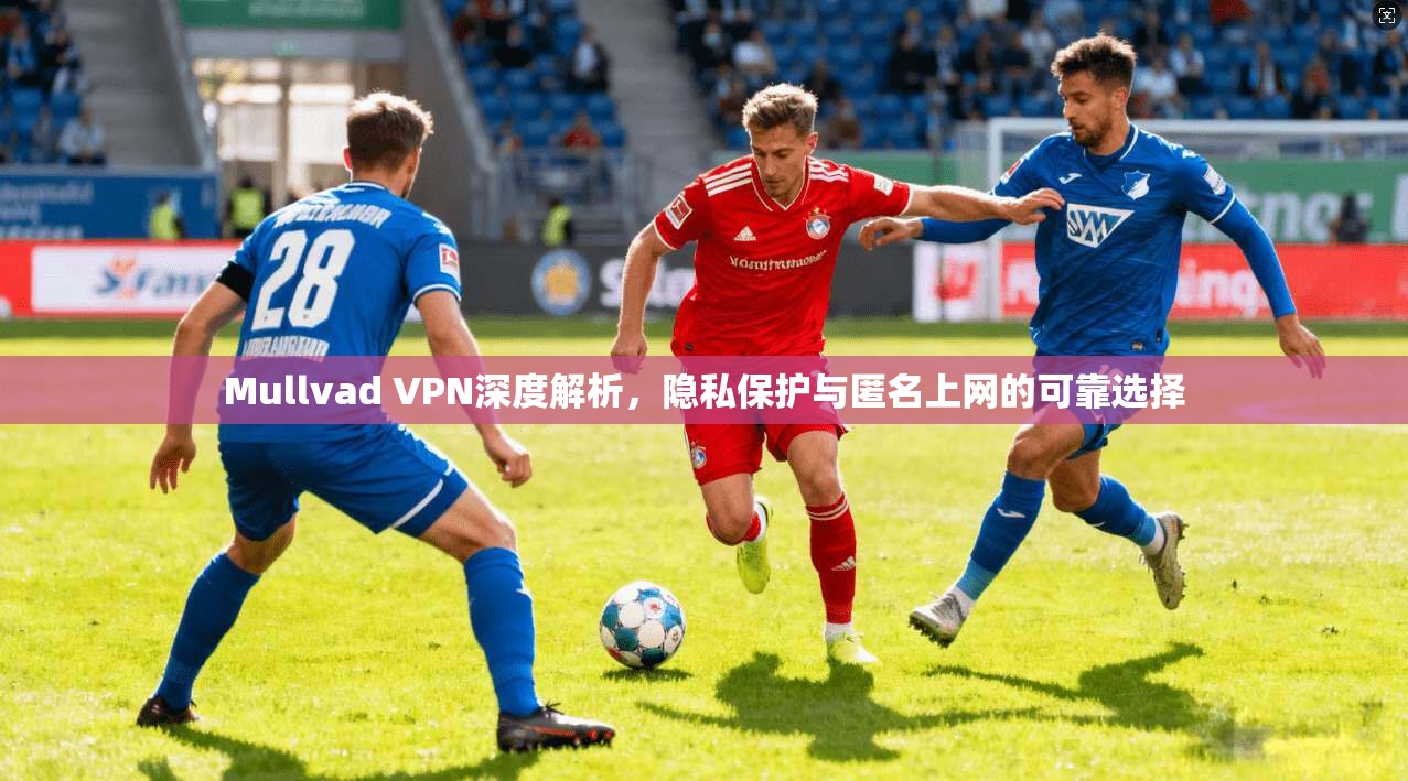 Mullvad VPN深度解析，隐私保护与匿名上网的可靠选择