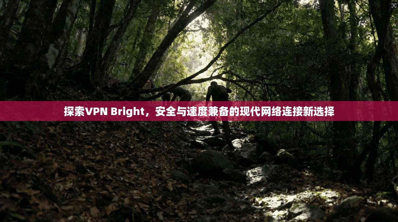 探索VPN Bright，安全与速度兼备的现代网络连接新选择