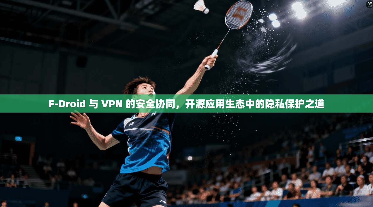F-Droid 与 VPN 的安全协同，开源应用生态中的隐私保护之道