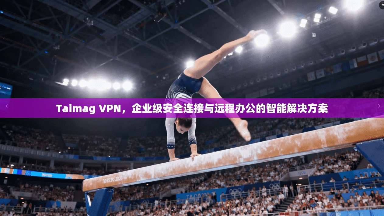 Taimag VPN，企业级安全连接与远程办公的智能解决方案