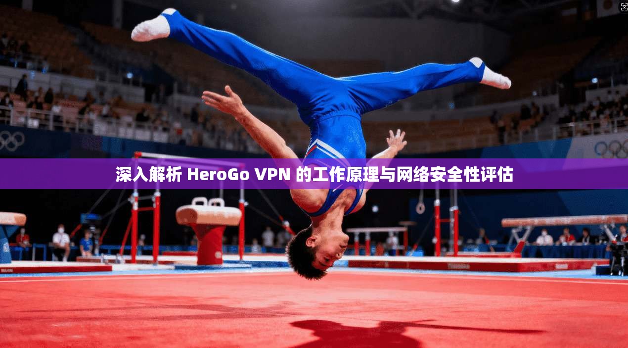 深入解析 HeroGo VPN 的工作原理与网络安全性评估