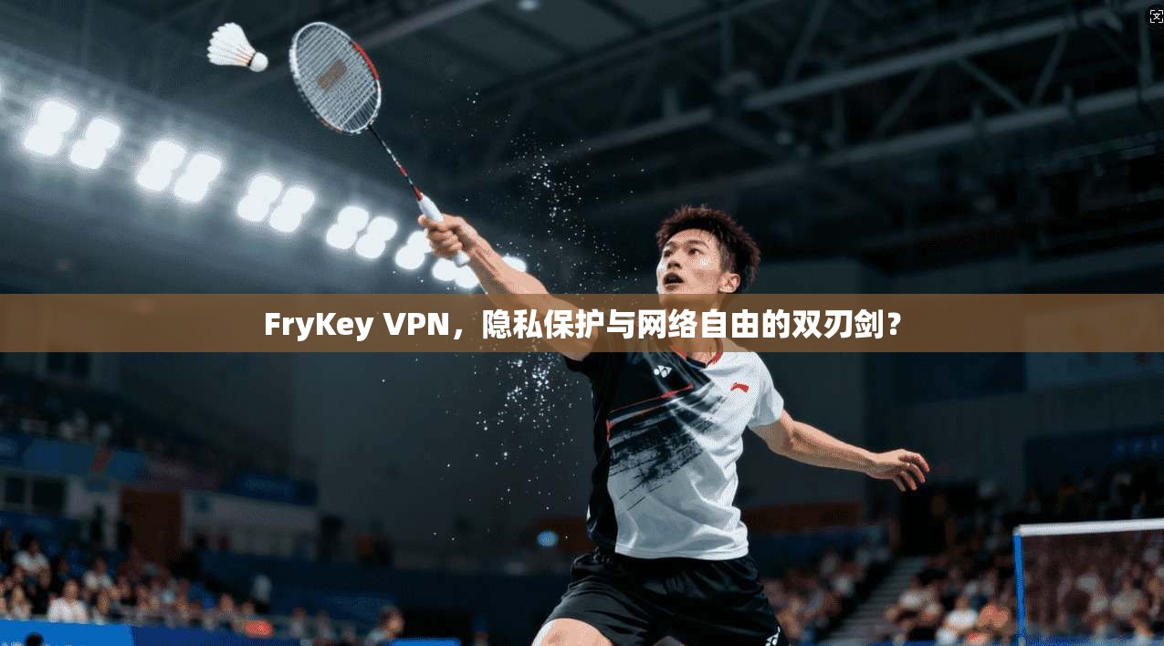 FryKey VPN，隐私保护与网络自由的双刃剑？