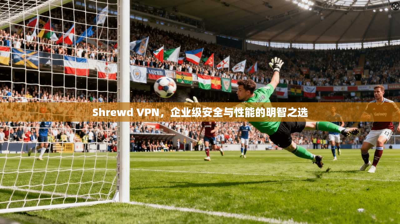 Shrewd VPN，企业级安全与性能的明智之选