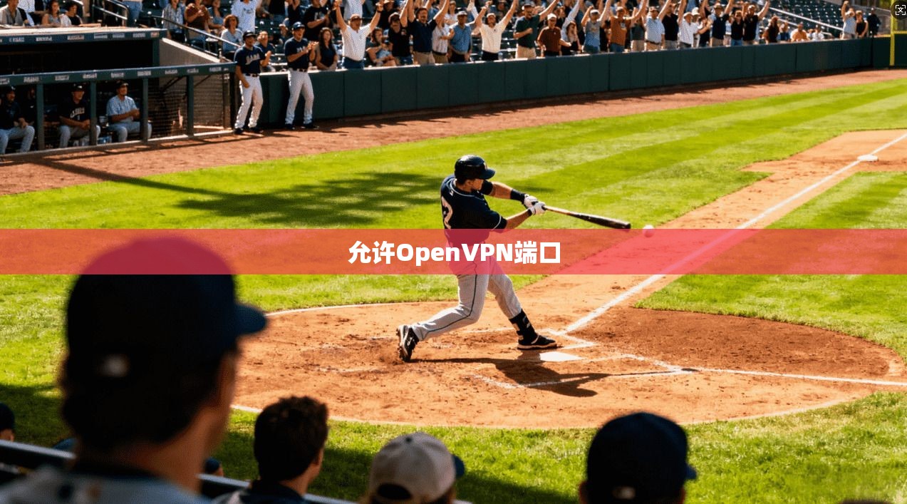 允许OpenVPN端口