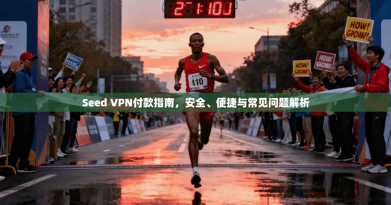Seed VPN付款指南，安全、便捷与常见问题解析
