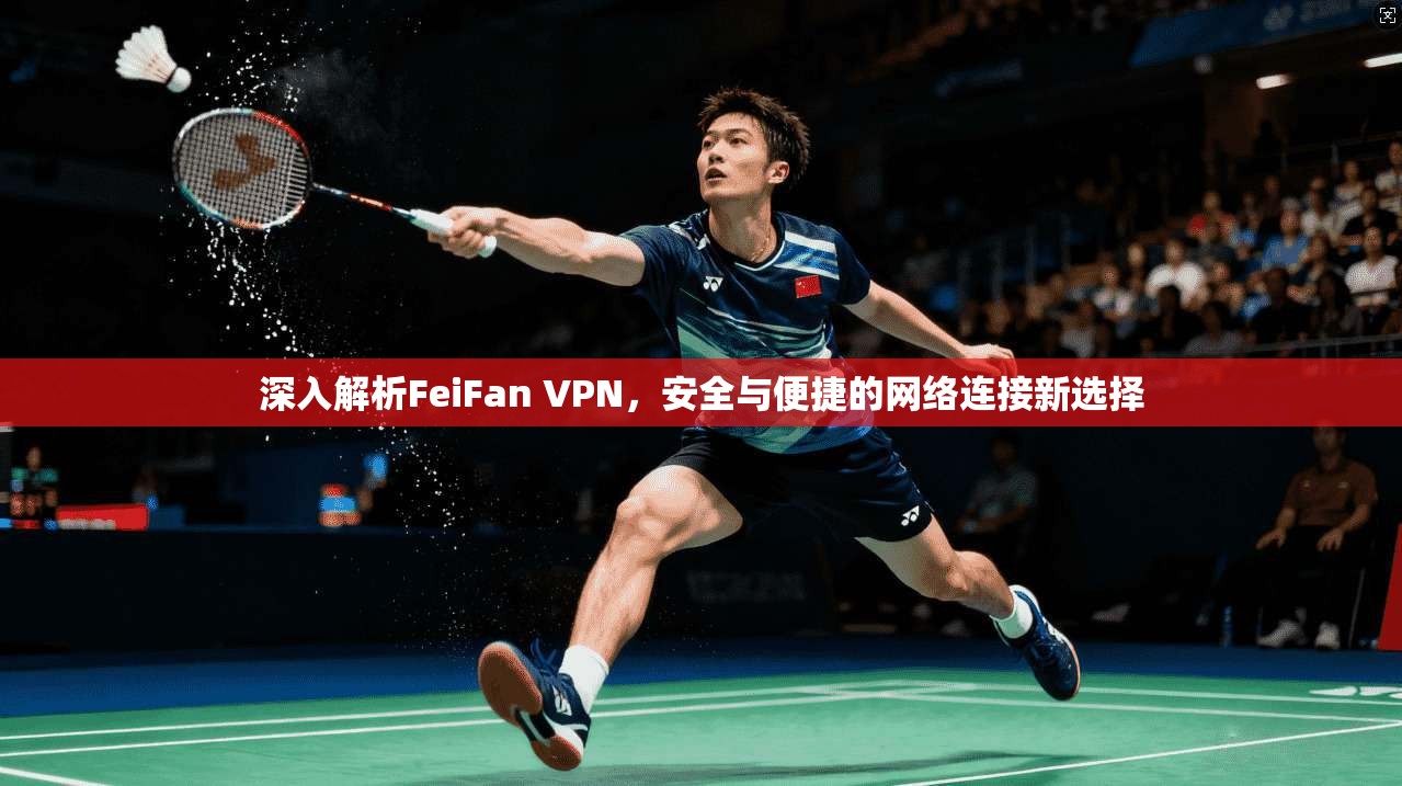 深入解析FeiFan VPN，安全与便捷的网络连接新选择