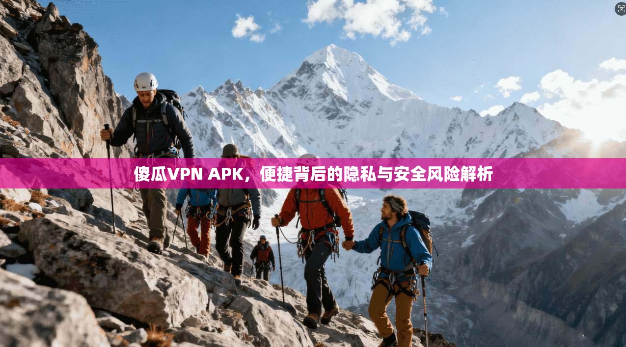 傻瓜VPN APK，便捷背后的隐私与安全风险解析