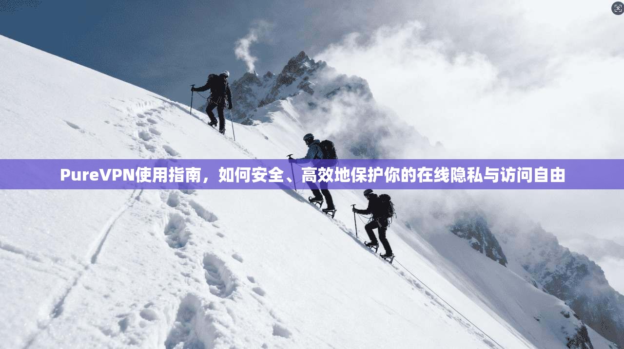 PureVPN使用指南，如何安全、高效地保护你的在线隐私与访问自由