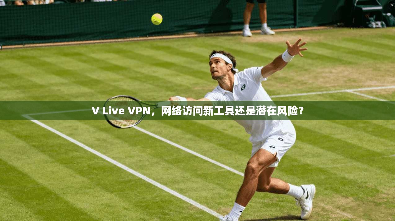 V Live VPN,网络访问新工具还是潜在风险?