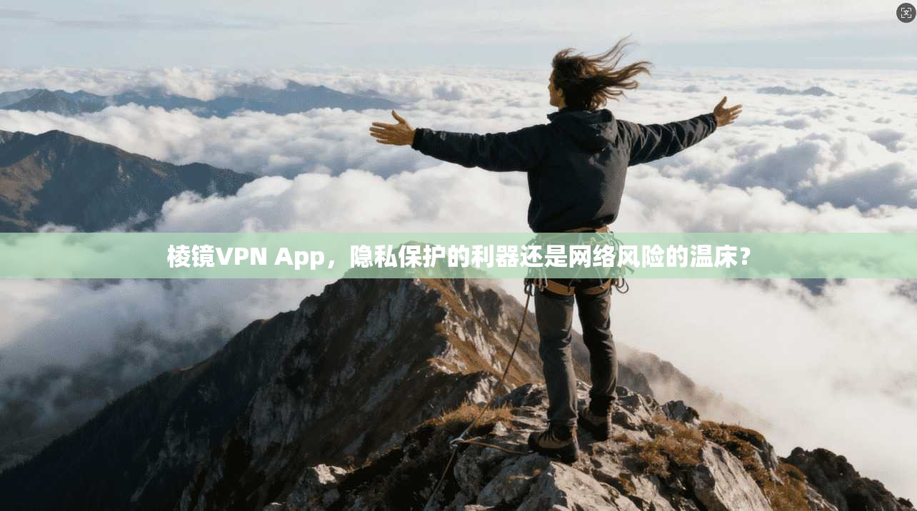 棱镜VPN App，隐私保护的利器还是网络风险的温床？