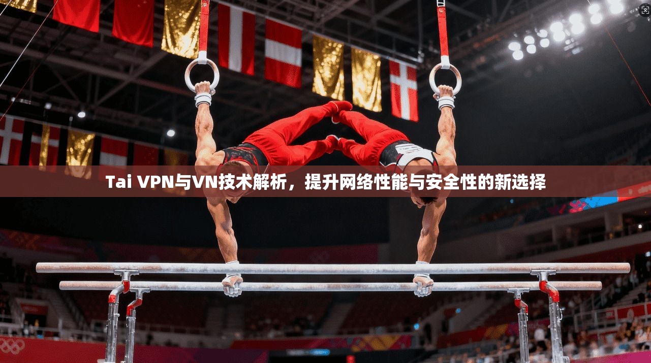 Tai VPN与VN技术解析，提升网络性能与安全性的新选择