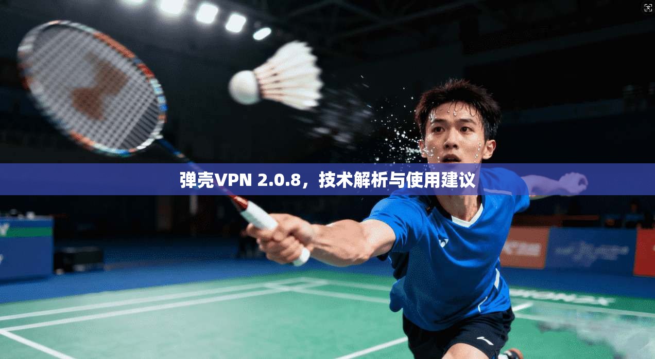 弹壳VPN 2.0.8，技术解析与使用建议
