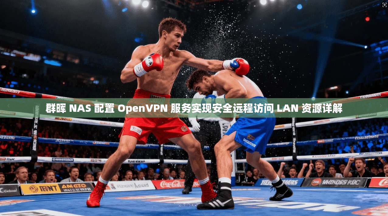 群晖 NAS 配置 OpenVPN 服务实现安全远程访问 LAN 资源详解