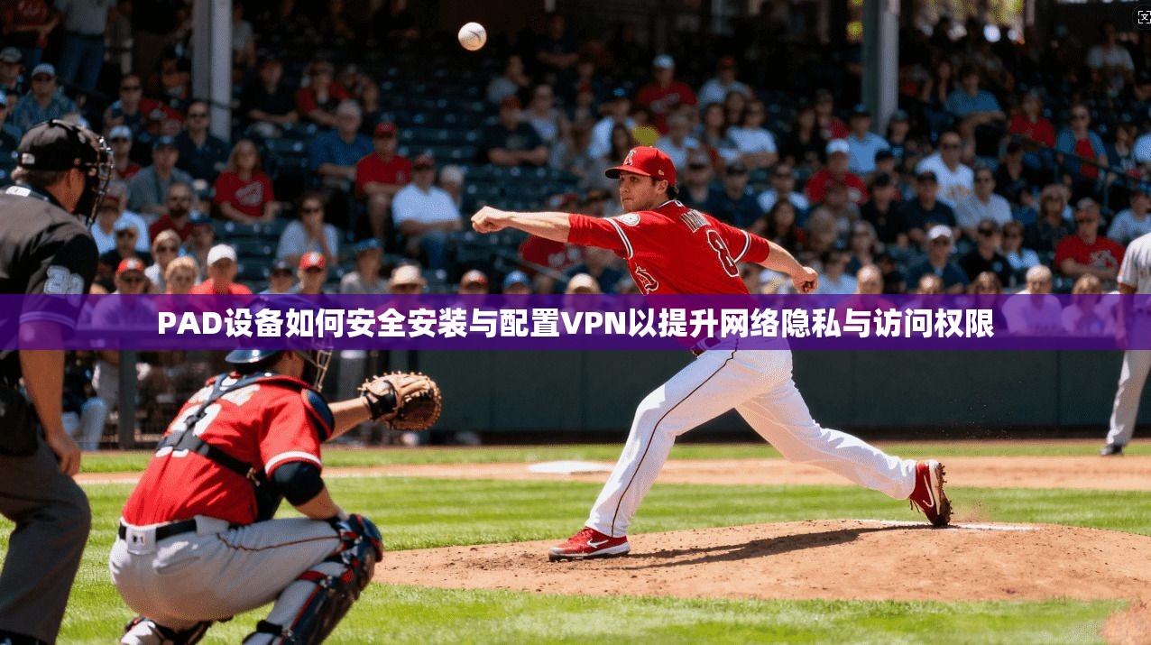 PAD设备如何安全安装与配置VPN以提升网络隐私与访问权限