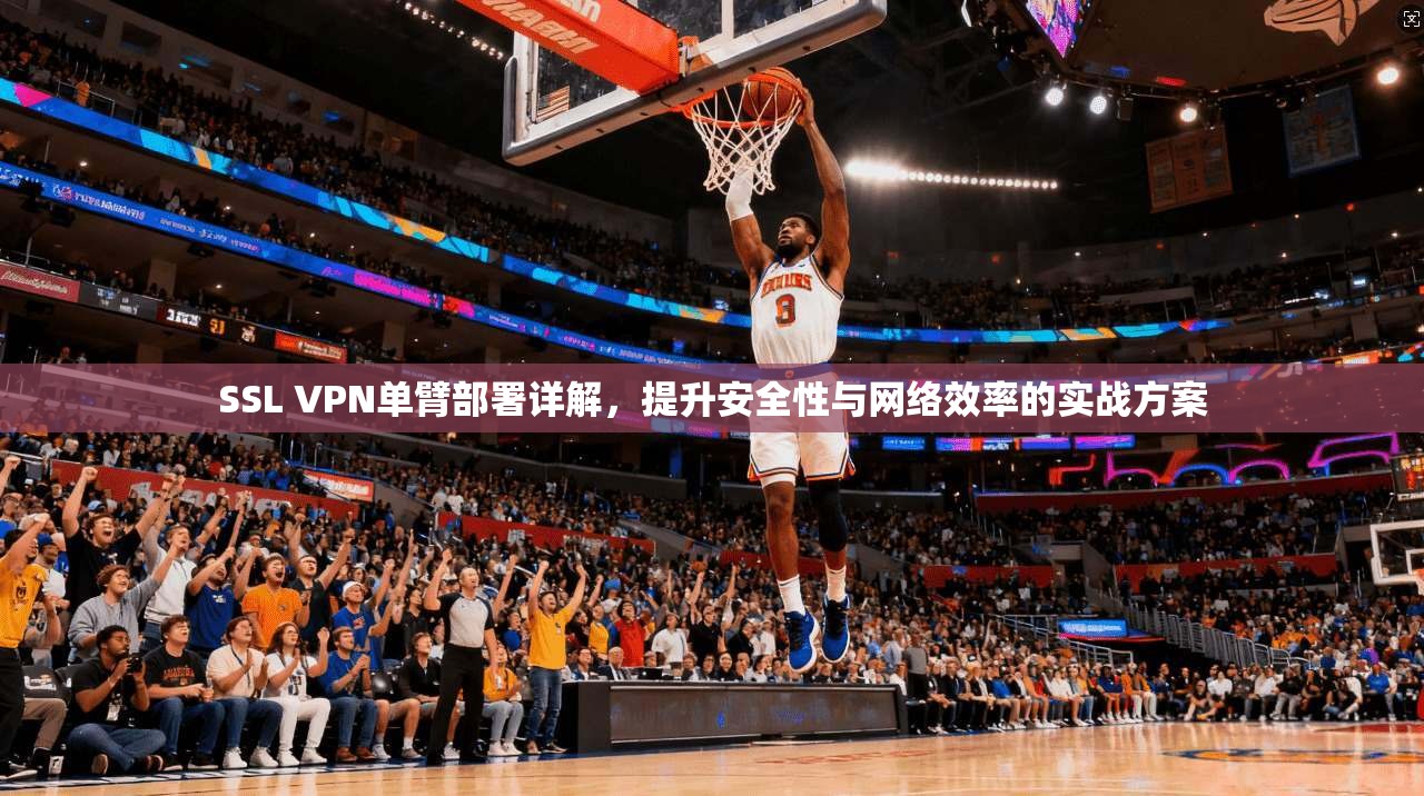 SSL VPN单臂部署详解，提升安全性与网络效率的实战方案