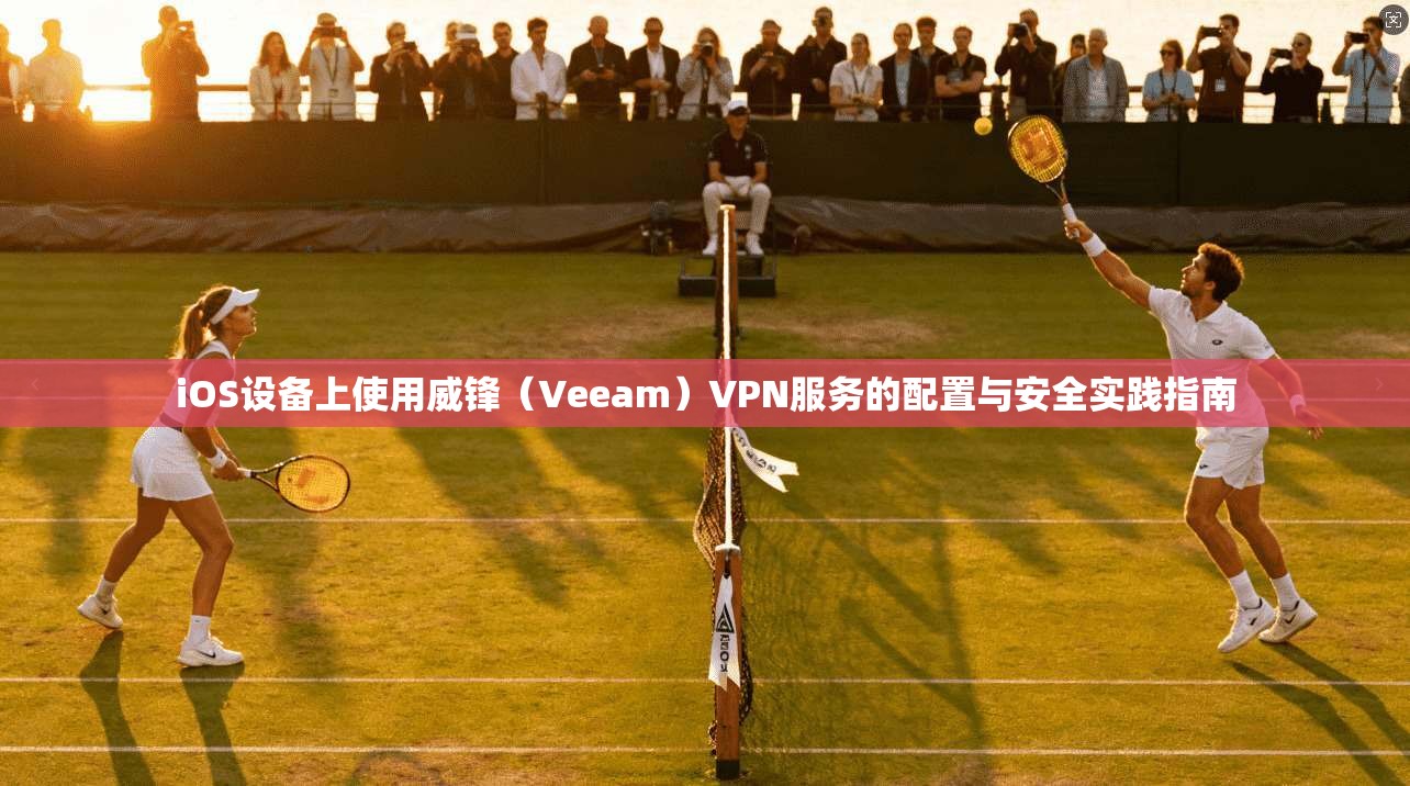 iOS设备上使用威锋（Veeam）VPN服务的配置与安全实践指南
