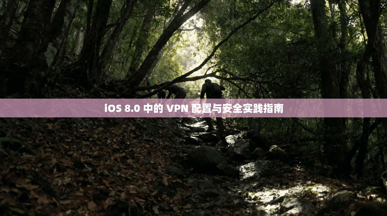 iOS 8.0 中的 VPN 配置与安全实践指南