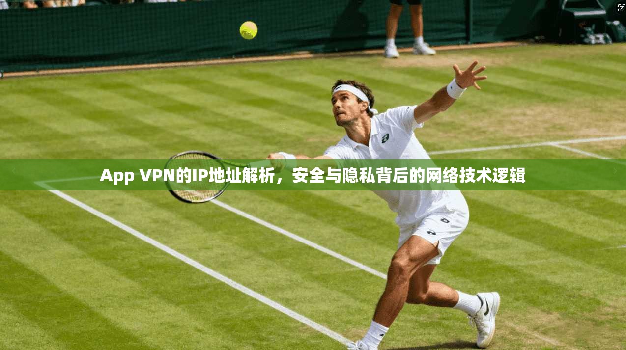 App VPN的IP地址解析，安全与隐私背后的网络技术逻辑