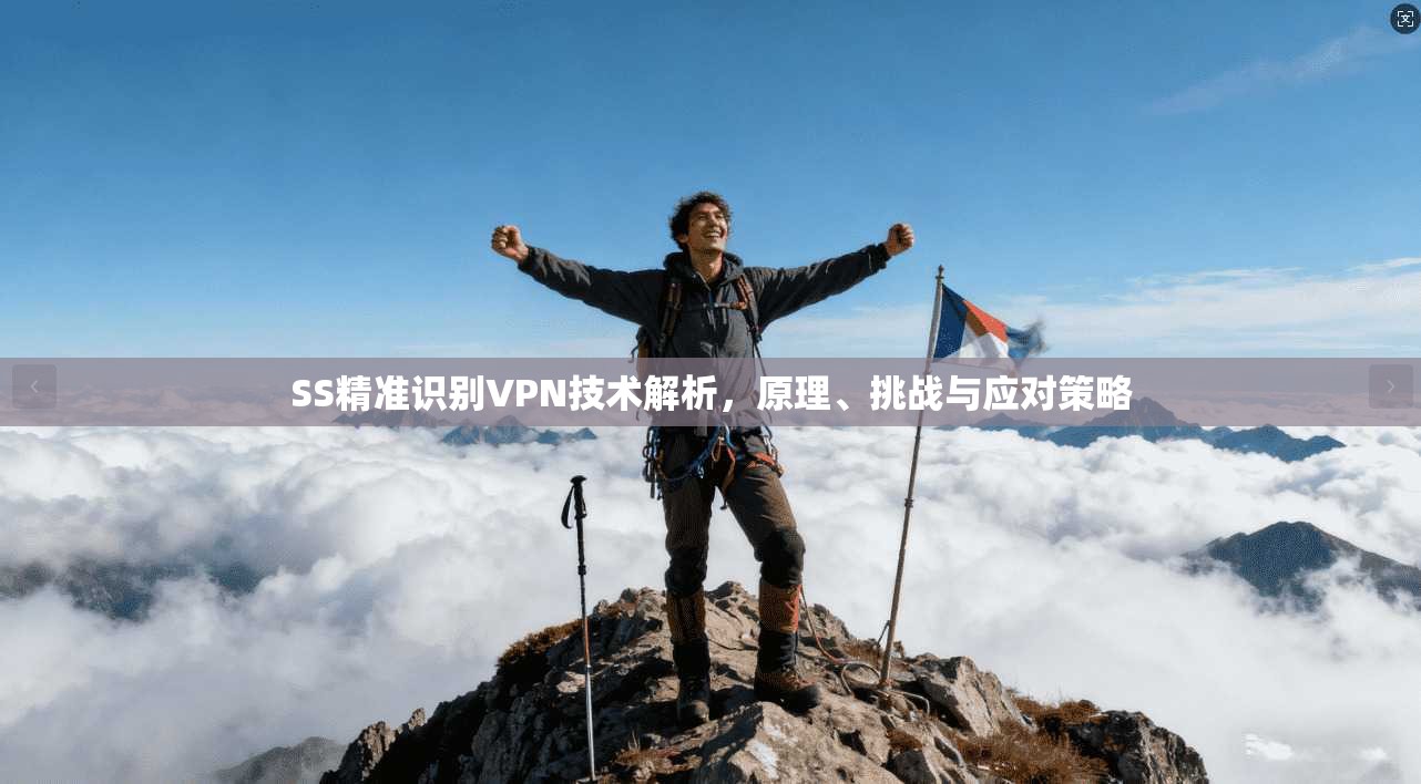 SS精准识别VPN技术解析，原理、挑战与应对策略