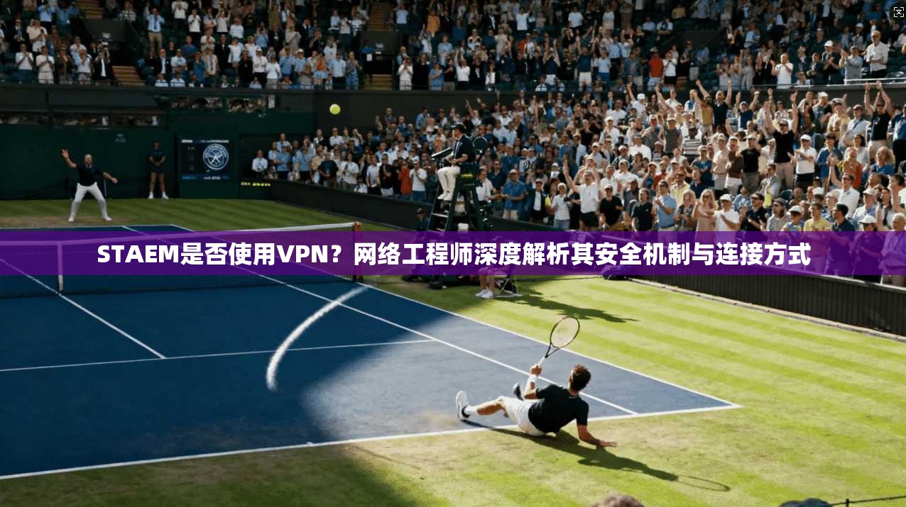 STAEM是否使用VPN？网络工程师深度解析其安全机制与连接方式