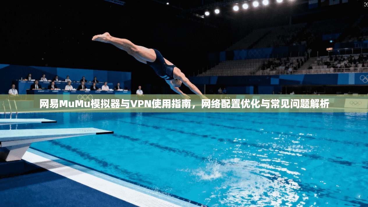 网易MuMu模拟器与VPN使用指南，网络配置优化与常见问题解析