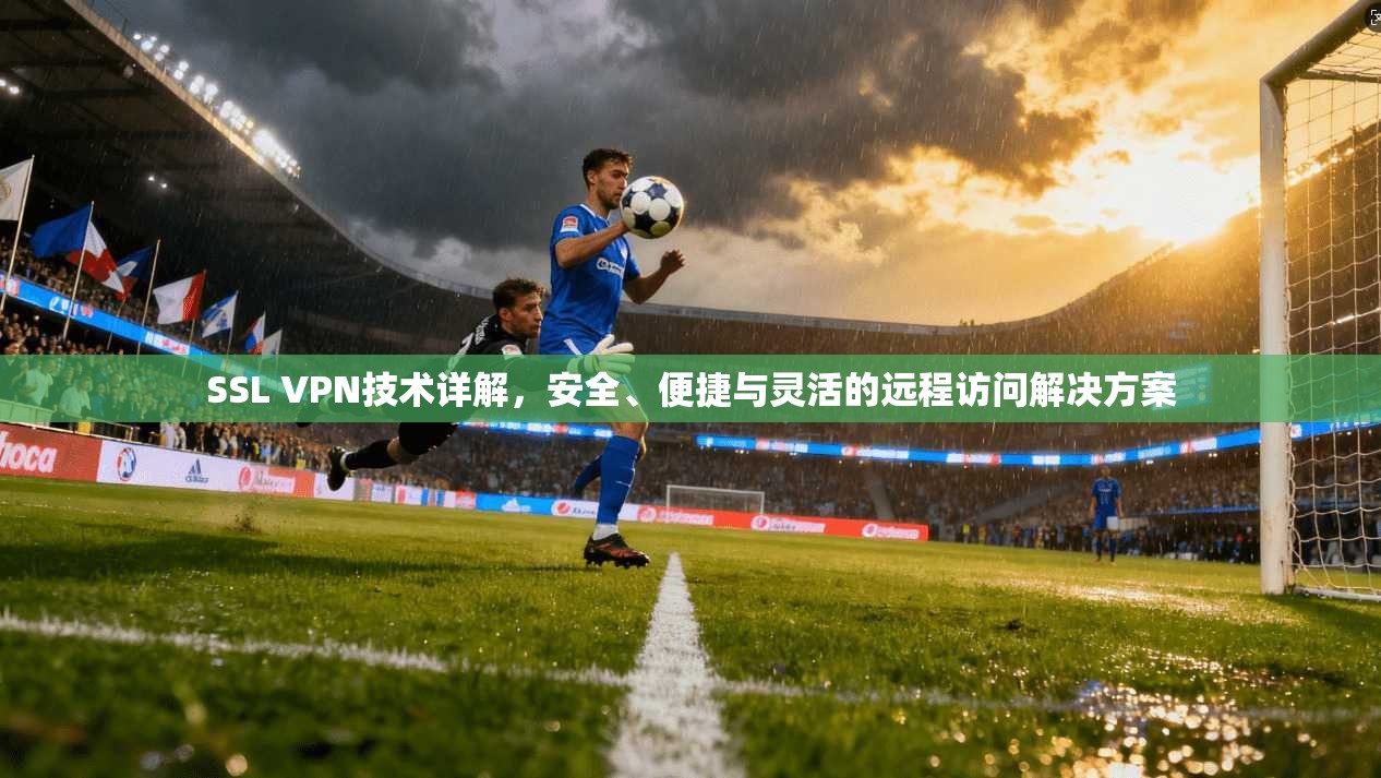 SSL VPN技术详解，安全、便捷与灵活的远程访问解决方案