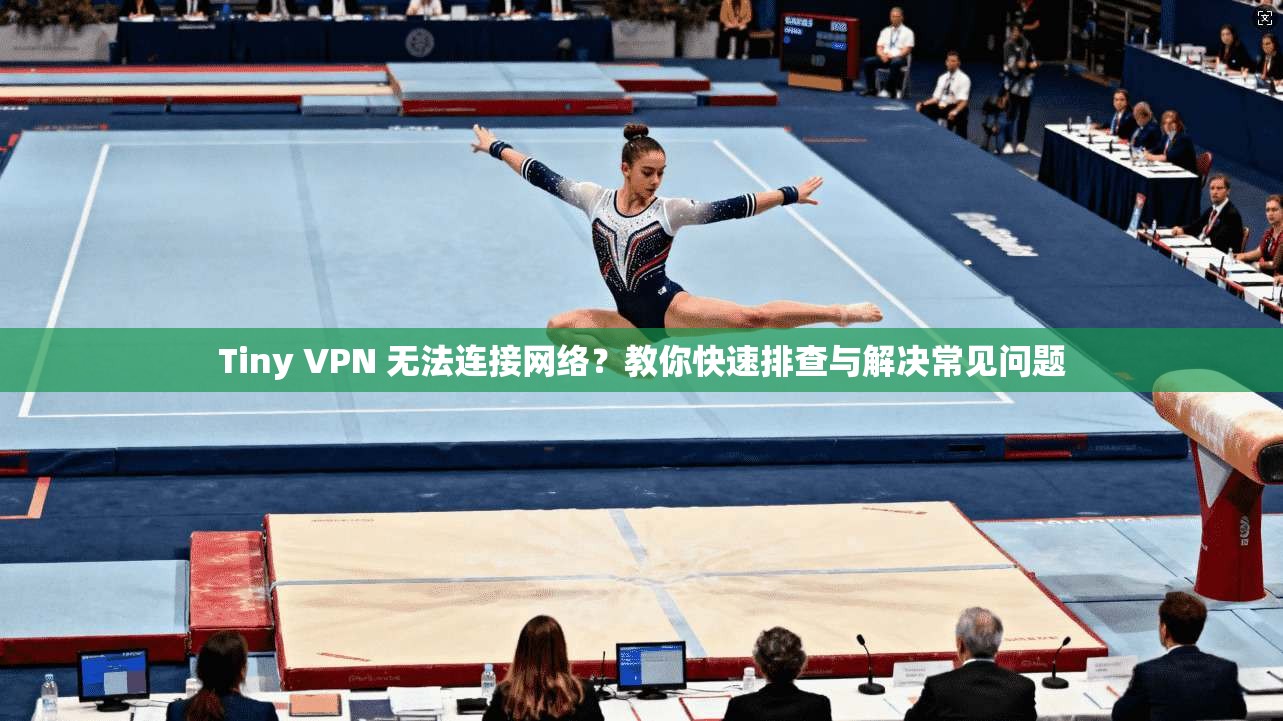 Tiny VPN 无法连接网络？教你快速排查与解决常见问题