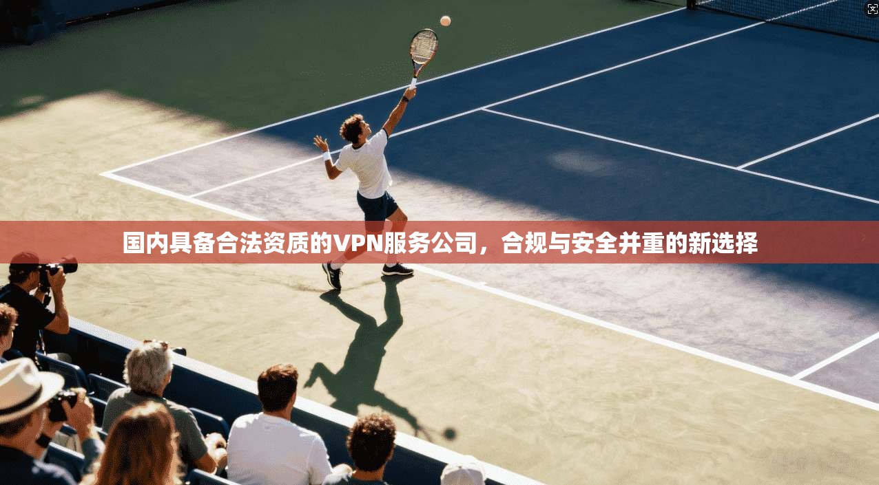 国内具备合法资质的VPN服务公司，合规与安全并重的新选择