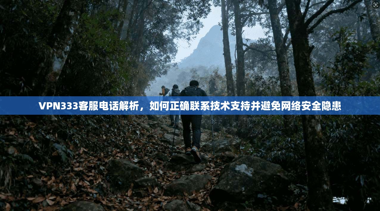 VPN333客服电话解析,如何正确联系技术支持并避免网络安全隐患