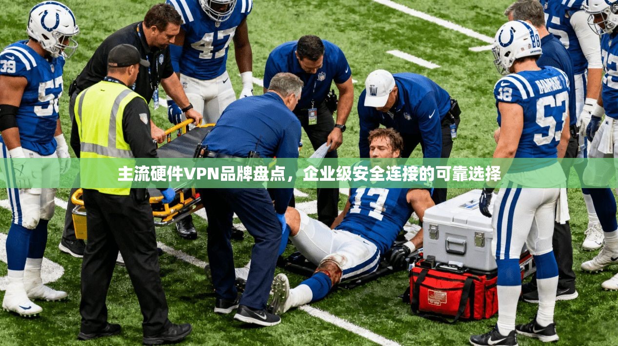 主流硬件VPN品牌盘点，企业级安全连接的可靠选择