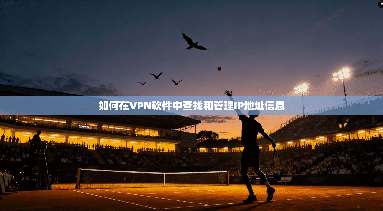 如何在VPN软件中查找和管理IP地址信息