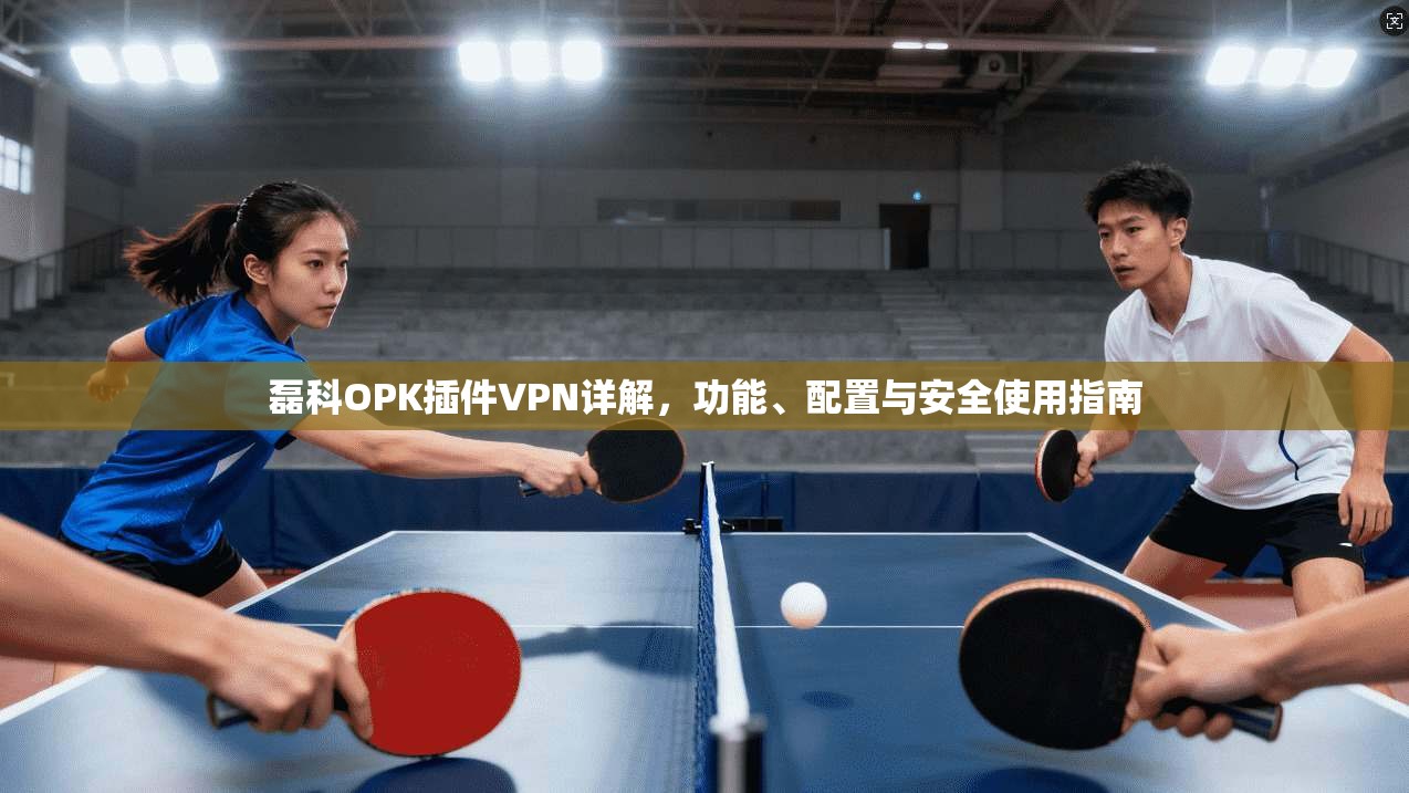 磊科OPK插件VPN详解,功能、配置与安全使用指南