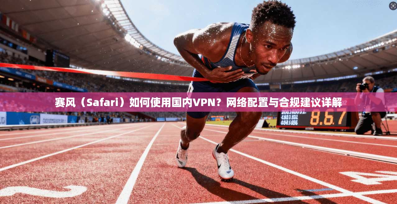 赛风（Safari）如何使用国内VPN？网络配置与合规建议详解