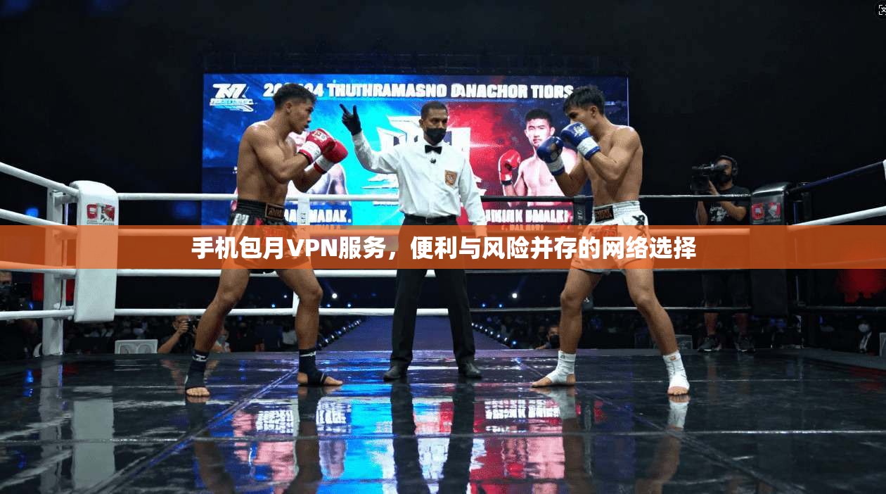 手机包月VPN服务，便利与风险并存的网络选择