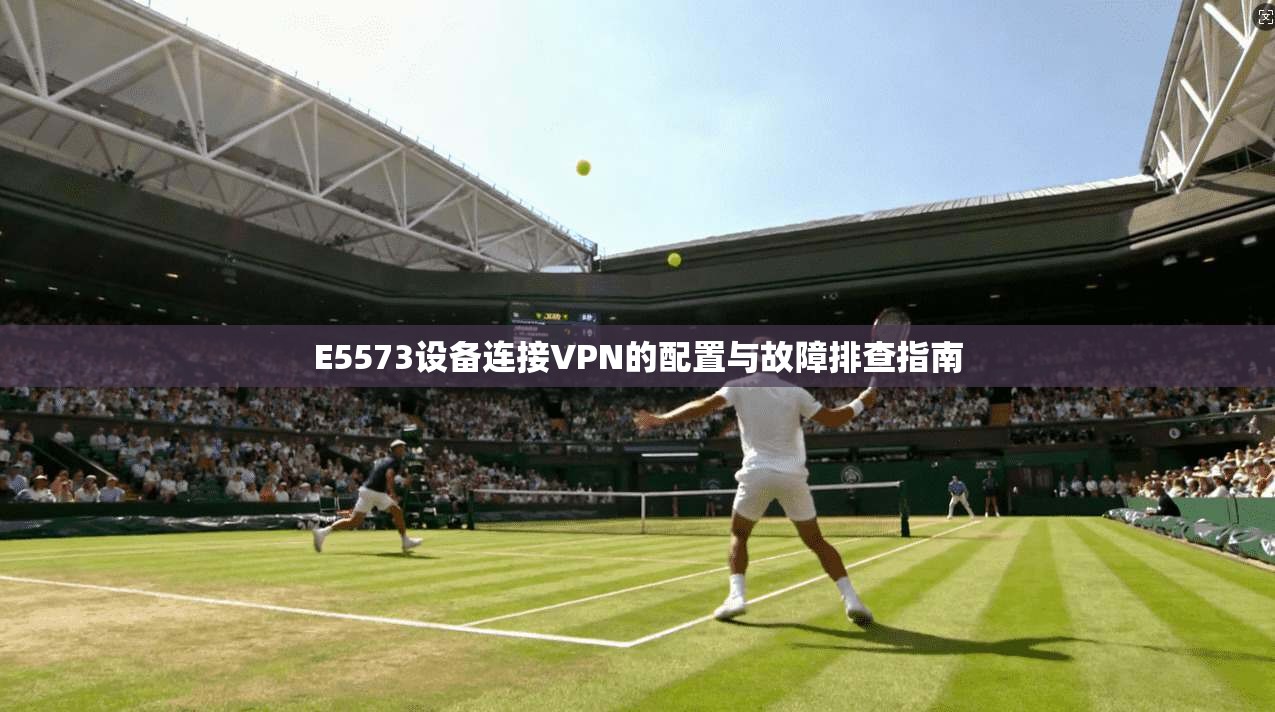 E5573设备连接VPN的配置与故障排查指南