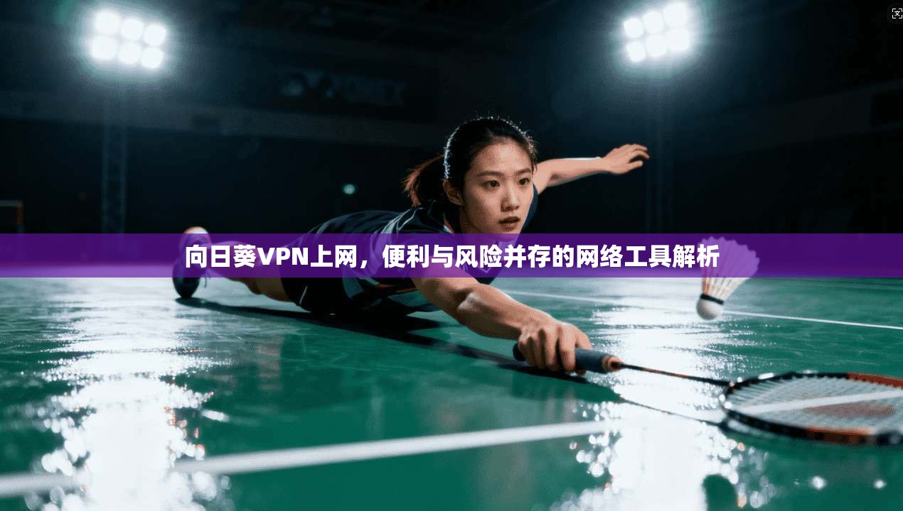 向日葵VPN上网，便利与风险并存的网络工具解析