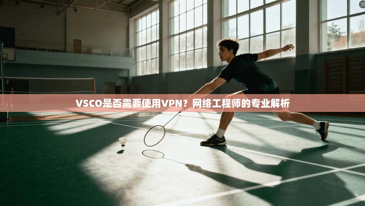 VSCO是否需要使用VPN?网络工程师的专业解析