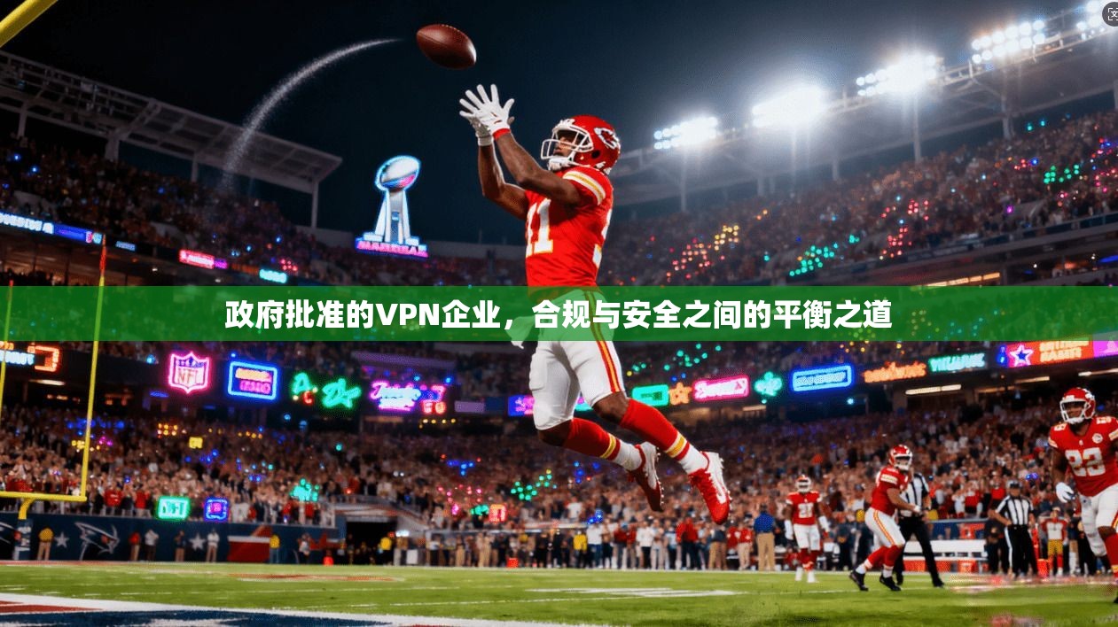 政府批准的VPN企业，合规与安全之间的平衡之道