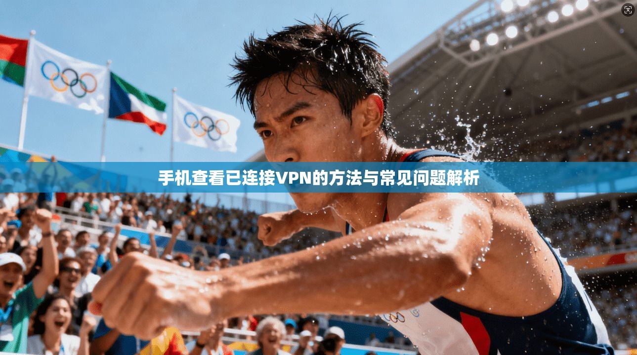 手机查看已连接VPN的方法与常见问题解析