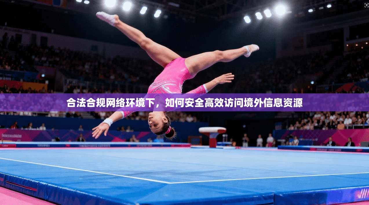 合法合规网络环境下，如何安全高效访问境外信息资源