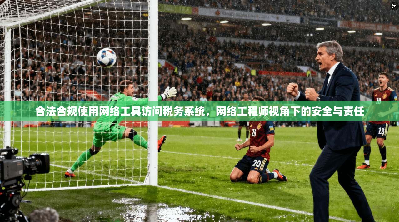 合法合规使用网络工具访问税务系统，网络工程师视角下的安全与责任