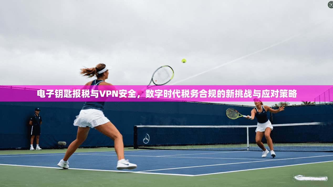 电子钥匙报税与VPN安全，数字时代税务合规的新挑战与应对策略
