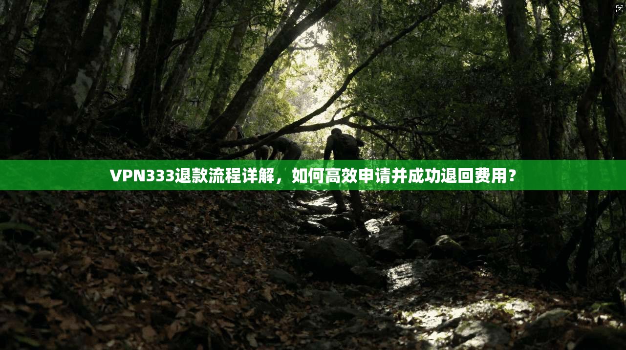 VPN333退款流程详解，如何高效申请并成功退回费用？