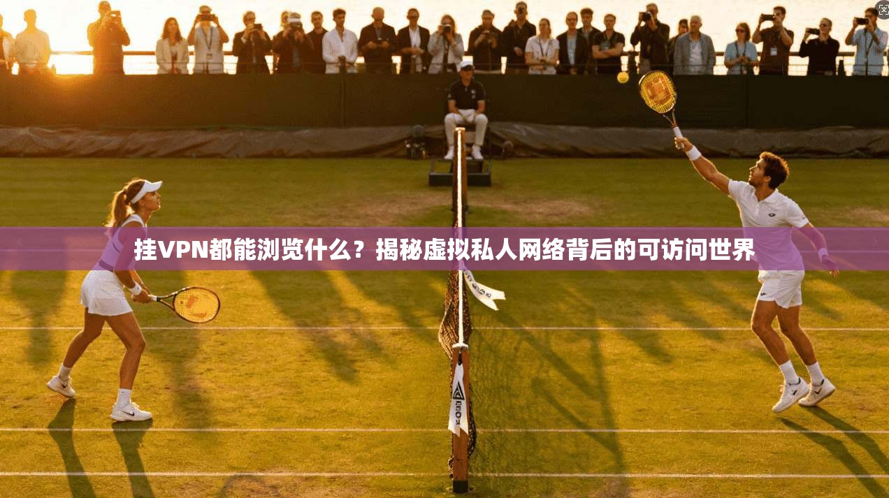 挂VPN都能浏览什么？揭秘虚拟私人网络背后的可访问世界