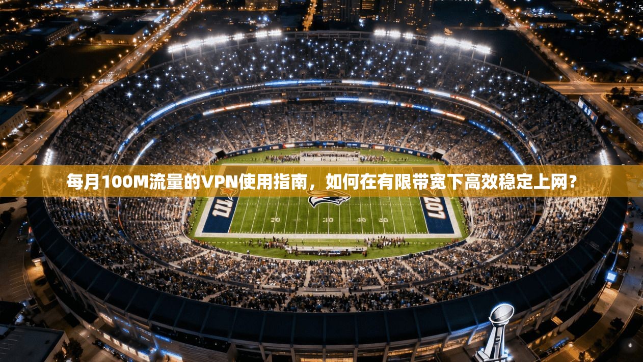 每月100M流量的VPN使用指南，如何在有限带宽下高效稳定上网？