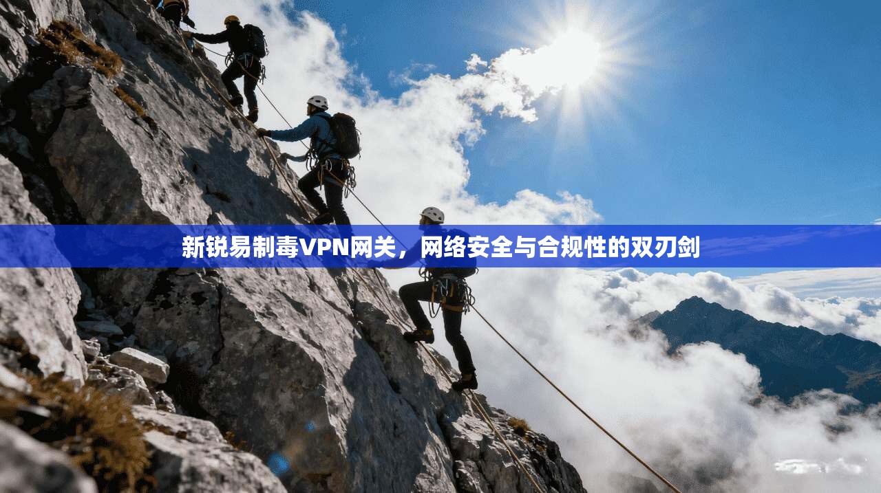新锐易制毒VPN网关,网络安全与合规性的双刃剑