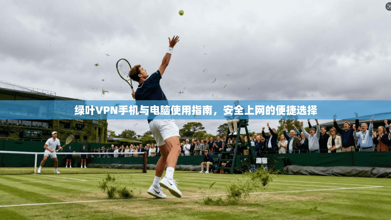 绿叶VPN手机与电脑使用指南，安全上网的便捷选择