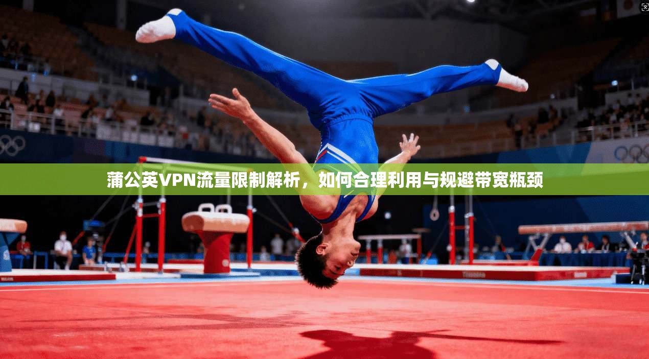 蒲公英VPN流量限制解析，如何合理利用与规避带宽瓶颈