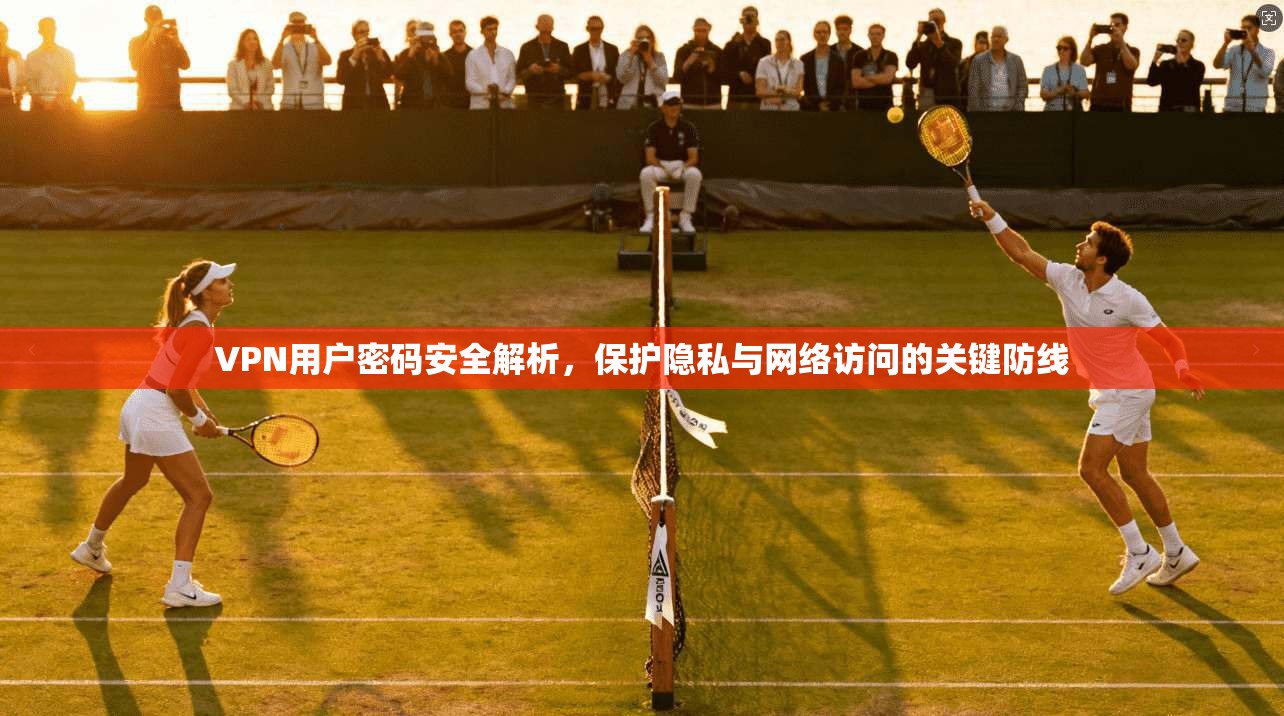 VPN用户密码安全解析，保护隐私与网络访问的关键防线