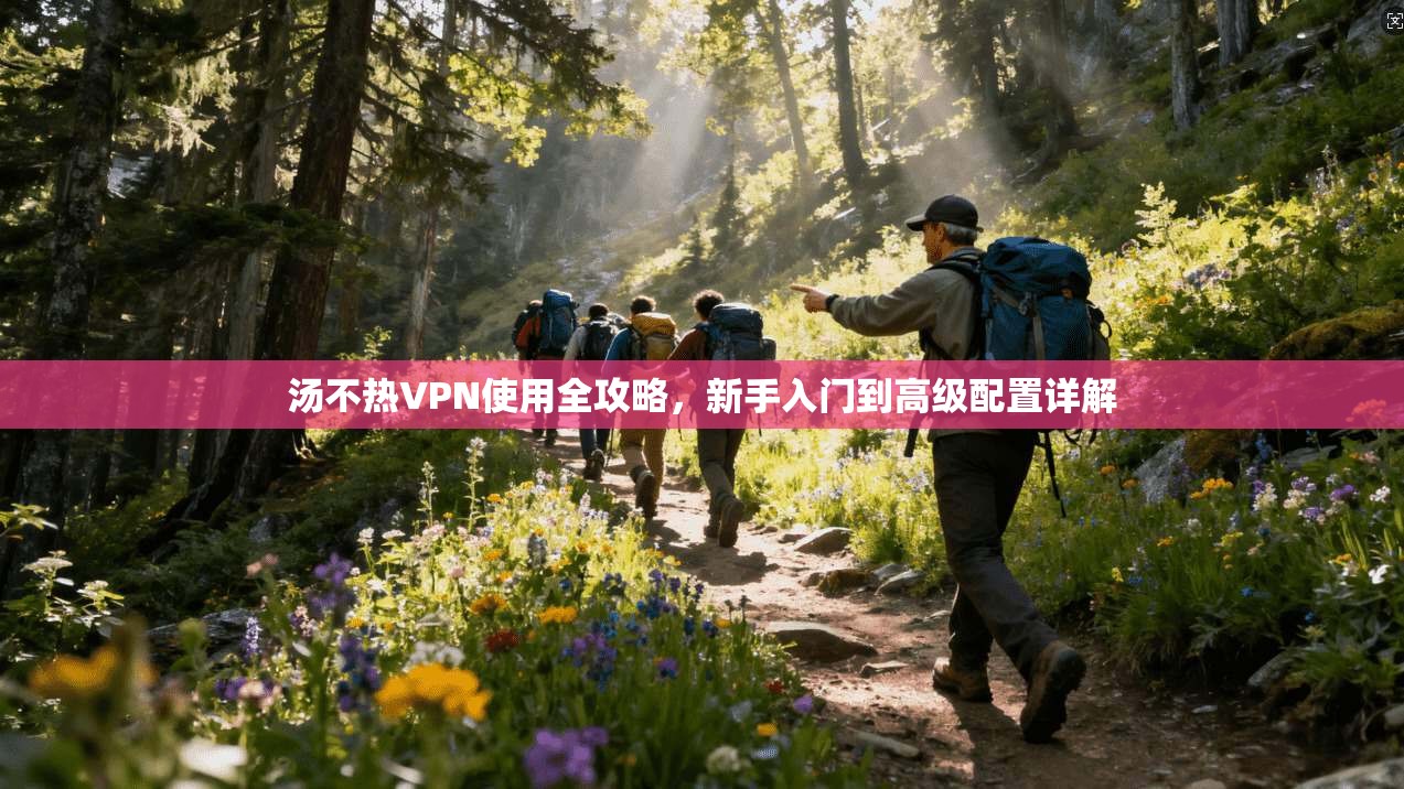 汤不热VPN使用全攻略,新手入门到高级配置详解